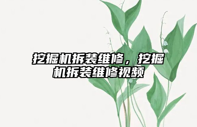 挖掘機拆裝維修，挖掘機拆裝維修視頻