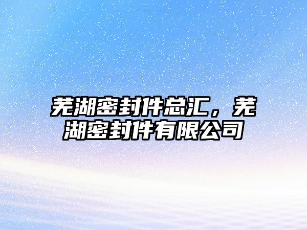 蕪湖密封件總匯，蕪湖密封件有限公司