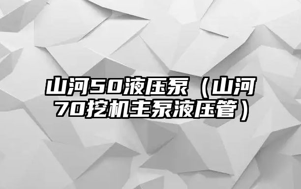 山河50液壓泵（山河70挖機(jī)主泵液壓管）