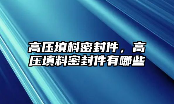 高壓填料密封件，高壓填料密封件有哪些