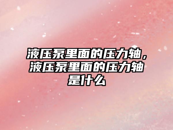 液壓泵里面的壓力軸，液壓泵里面的壓力軸是什么