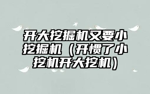 開大挖掘機又要小挖掘機（開慣了小挖機開大挖機）