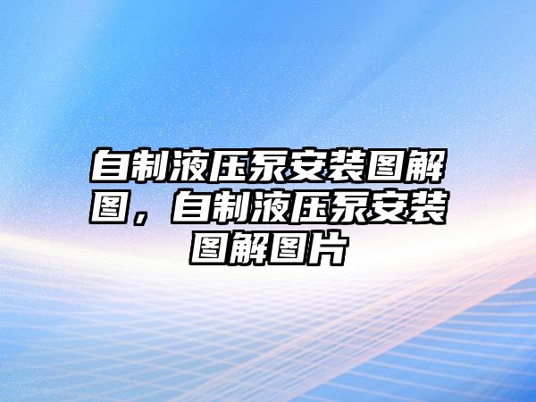 自制液壓泵安裝圖解圖，自制液壓泵安裝圖解圖片