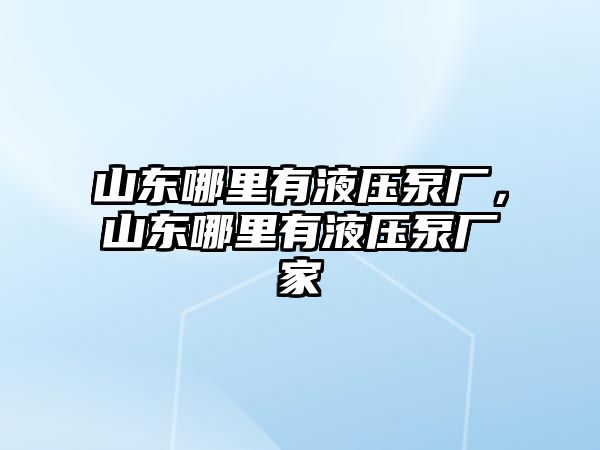 山東哪里有液壓泵廠，山東哪里有液壓泵廠家