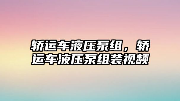 轎運(yùn)車液壓泵組，轎運(yùn)車液壓泵組裝視頻