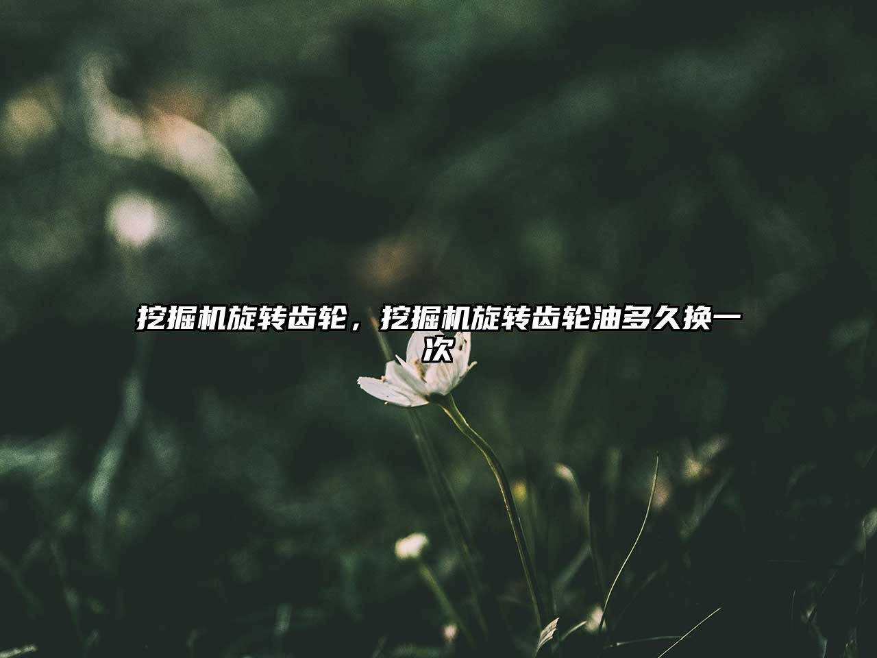 挖掘機(jī)旋轉(zhuǎn)齒輪，挖掘機(jī)旋轉(zhuǎn)齒輪油多久換一次