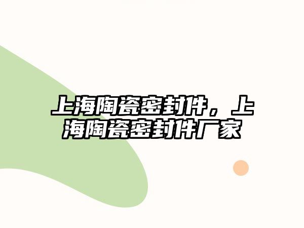 上海陶瓷密封件，上海陶瓷密封件廠家