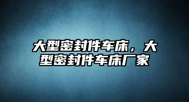 大型密封件車床，大型密封件車床廠家