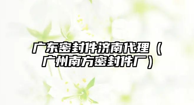 廣東密封件濟(jì)南代理（廣州南方密封件廠）