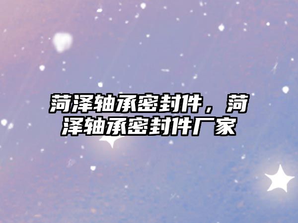 菏澤軸承密封件，菏澤軸承密封件廠家