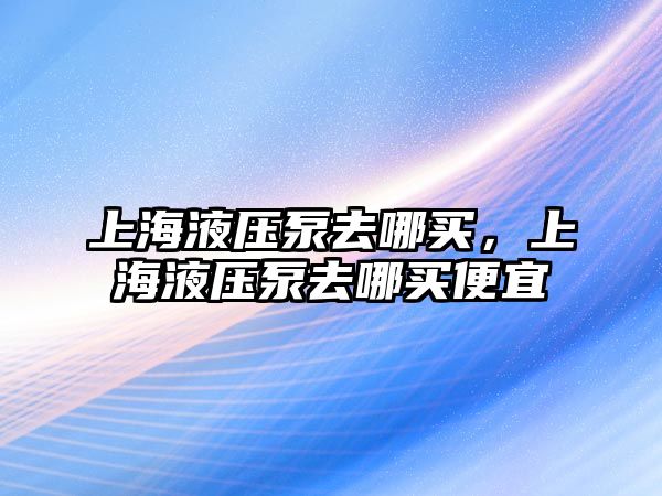 上海液壓泵去哪買，上海液壓泵去哪買便宜