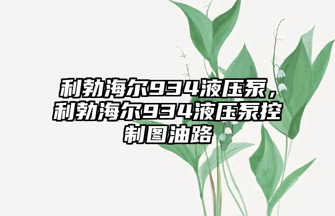 利勃海爾934液壓泵，利勃海爾934液壓泵控制圖油路