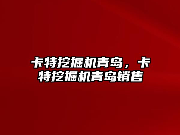 卡特挖掘機(jī)青島，卡特挖掘機(jī)青島銷售