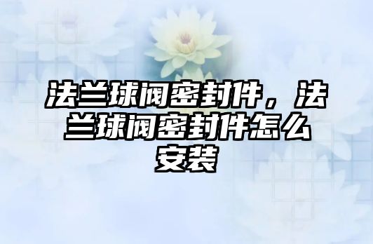 法蘭球閥密封件，法蘭球閥密封件怎么安裝