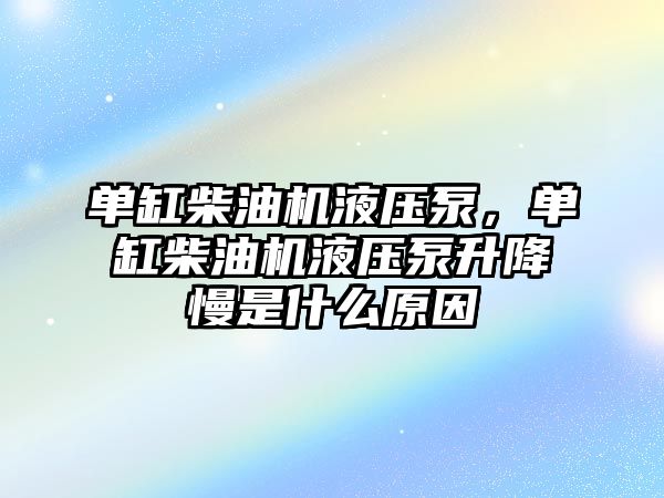 單缸柴油機液壓泵，單缸柴油機液壓泵升降慢是什么原因