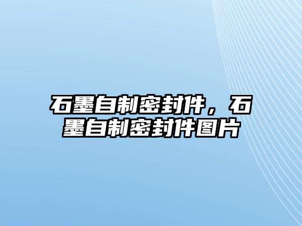 石墨自制密封件，石墨自制密封件圖片