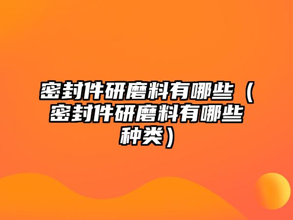 密封件研磨料有哪些（密封件研磨料有哪些種類）