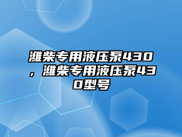 濰柴專用液壓泵430，濰柴專用液壓泵430型號