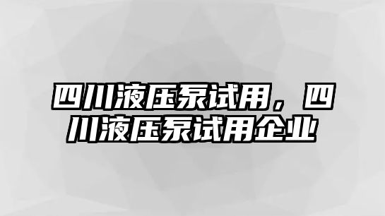 四川液壓泵試用，四川液壓泵試用企業(yè)