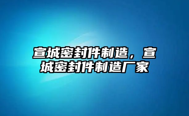 宣城密封件制造，宣城密封件制造廠家