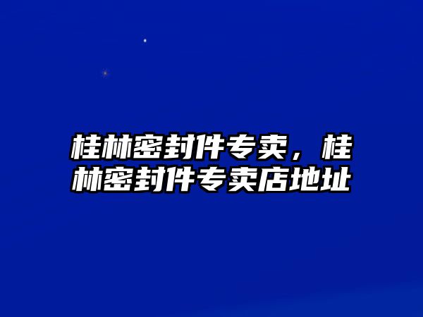 桂林密封件專賣，桂林密封件專賣店地址