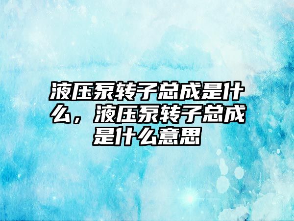 液壓泵轉子總成是什么，液壓泵轉子總成是什么意思