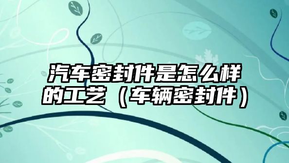 汽車密封件是怎么樣的工藝（車輛密封件）