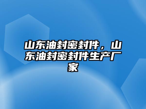 山東油封密封件，山東油封密封件生產(chǎn)廠家