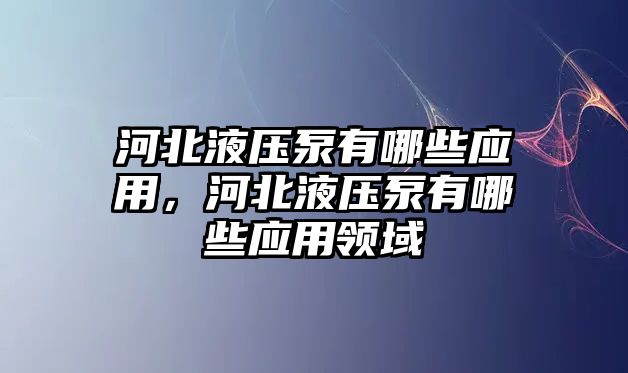 河北液壓泵有哪些應(yīng)用，河北液壓泵有哪些應(yīng)用領(lǐng)域