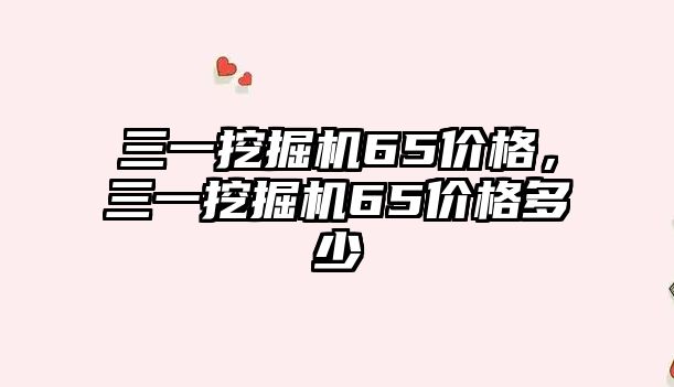 三一挖掘機65價格，三一挖掘機65價格多少