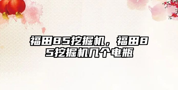 福田85挖掘機(jī)，福田85挖掘機(jī)幾個(gè)電瓶