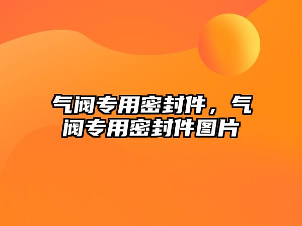 氣閥專用密封件，氣閥專用密封件圖片