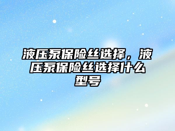 液壓泵保險絲選擇，液壓泵保險絲選擇什么型號