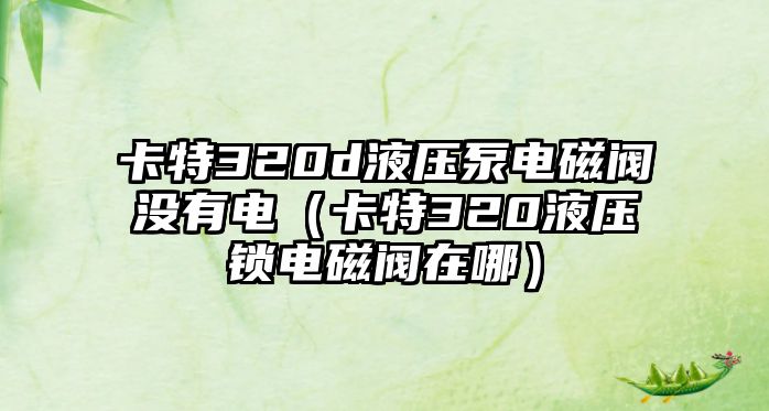 卡特320d液壓泵電磁閥沒有電（卡特320液壓鎖電磁閥在哪）