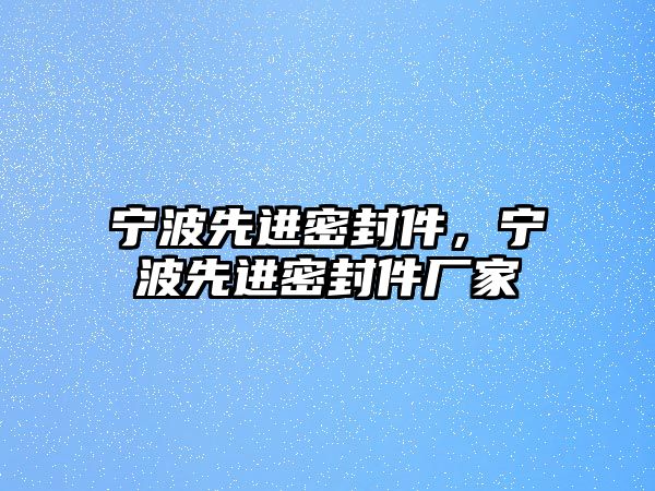 寧波先進(jìn)密封件，寧波先進(jìn)密封件廠家