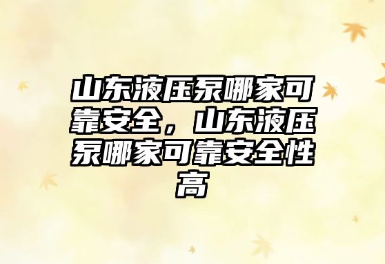 山東液壓泵哪家可靠安全，山東液壓泵哪家可靠安全性高