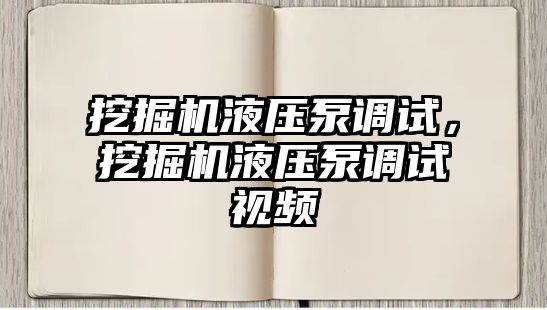 挖掘機液壓泵調(diào)試，挖掘機液壓泵調(diào)試視頻