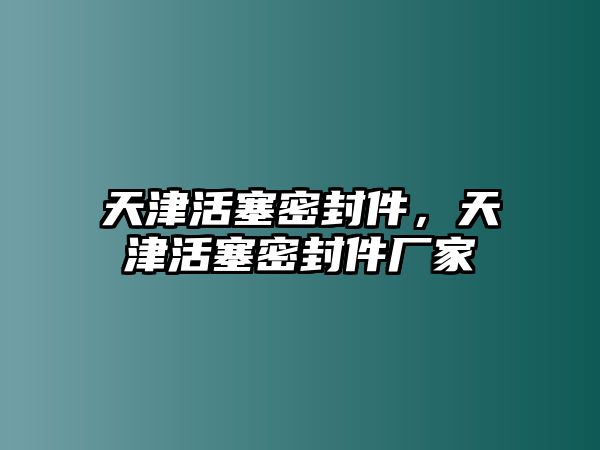 天津活塞密封件，天津活塞密封件廠家