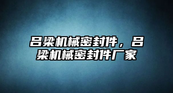 呂梁機械密封件，呂梁機械密封件廠家