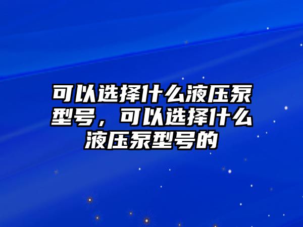 可以選擇什么液壓泵型號(hào)，可以選擇什么液壓泵型號(hào)的