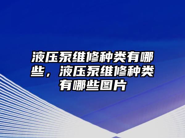 液壓泵維修種類有哪些，液壓泵維修種類有哪些圖片