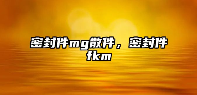 密封件mg散件，密封件fkm