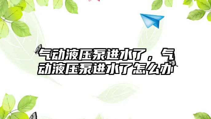 氣動液壓泵進水了，氣動液壓泵進水了怎么辦