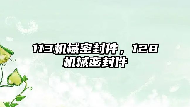 113機(jī)械密封件，128機(jī)械密封件