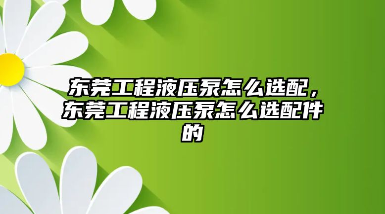 東莞工程液壓泵怎么選配，東莞工程液壓泵怎么選配件的