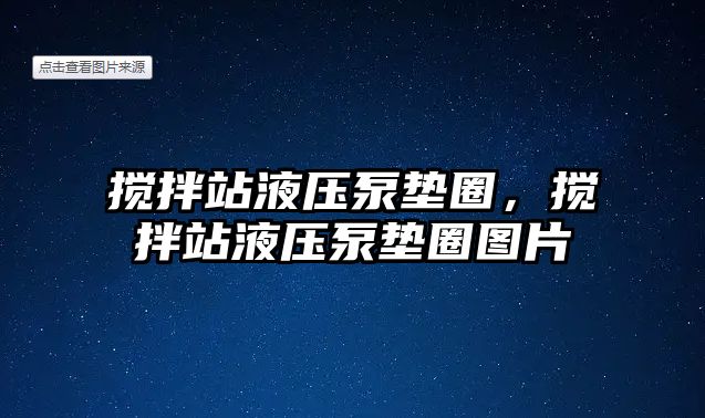 攪拌站液壓泵墊圈，攪拌站液壓泵墊圈圖片