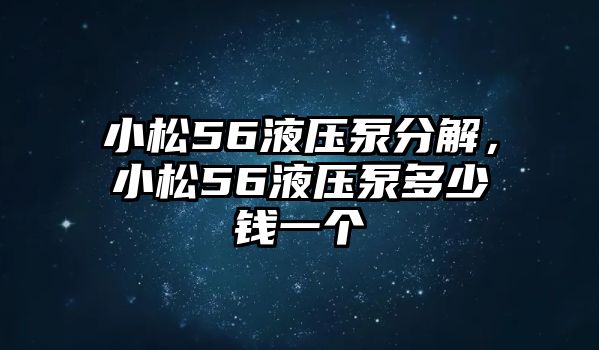 小松56液壓泵分解，小松56液壓泵多少錢一個