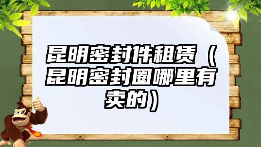 昆明密封件租賃（昆明密封圈哪里有賣的）