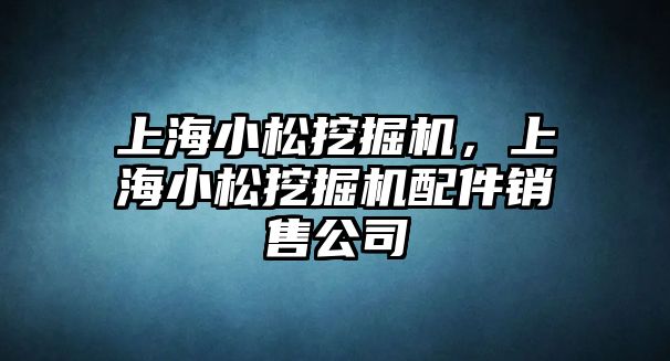 上海小松挖掘機(jī)，上海小松挖掘機(jī)配件銷(xiāo)售公司