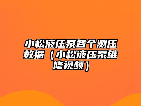 小松液壓泵各個測壓數(shù)據(jù)（小松液壓泵維修視頻）